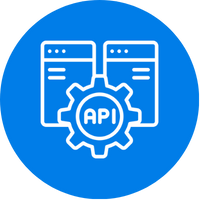 custome api integration